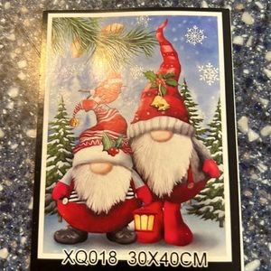 Holiday Gnomes!!!
Cross Stich kit for the crafty person on you list.